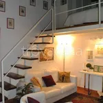 Rent 3 bedroom apartment of 55 m² in Firenze