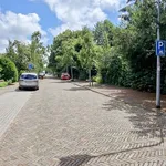 Huur 5 slaapkamer appartement van 120 m² in Aerdenhout-West