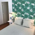 Rent 1 bedroom apartment in Lisbon