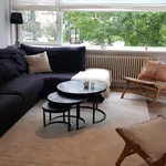 Rent 3 bedroom apartment of 73 m² in Van der Leekbuurt