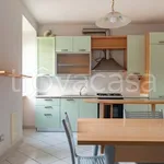 Rent 3 bedroom apartment of 70 m² in Ceriale