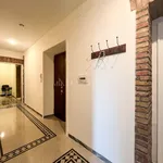 Rent 3 bedroom apartment of 90 m² in Roma