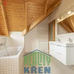 Rent 1 bedroom house in Roztoky