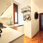 Rent 1 bedroom apartment in Milan