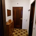 Rent 1 bedroom apartment of 45 m² in Portimão