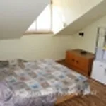 Rent 1 bedroom apartment of 20 m² in Pécs