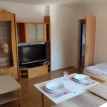 Rent 1 bedroom apartment of 144 m² in Brno