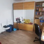 Rent 3 bedroom apartment of 80 m² in Bareggio