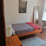 Rent 3 bedroom apartment in Lisbon