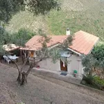 Rent 2 bedroom apartment of 35 m² in Varazze