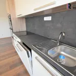 Rent 2 bedroom apartment of 57 m² in Fryšták