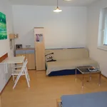 Rent 1 bedroom apartment of 28 m² in  ulice Cejl