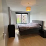 Rent 2 bedroom apartment of 86 m² in Amsterdam