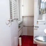 Rent 1 bedroom apartment in rome