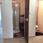 Rent 2 bedroom apartment in Chodov