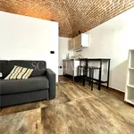 Rent 1 bedroom apartment of 30 m² in Biella