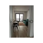 Rent 1 bedroom apartment in Ribeira Grande (Conceição)