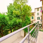 Rent 1 bedroom apartment in Florence