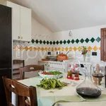 Rent 2 bedroom apartment of 50 m² in Marsala