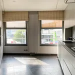 Huur 1 slaapkamer appartement van 238 m² in Waregem