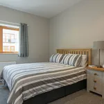 Rent 3 bedroom apartment in belfast