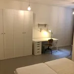 Rent 3 bedroom apartment in Prague