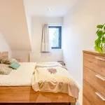 Rent 2 bedroom apartment in Gentbrugge