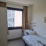  appartement avec 3 chambre(s) en location à Namur