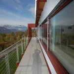 Rent 4 bedroom apartment of 150 m² in Trento