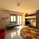 Rent 3 bedroom apartment of 70 m² in Massa