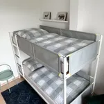 Miete 3 Schlafzimmer wohnung von 80 m² in Chemnitz