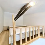 Rent 1 bedroom apartment in Brno