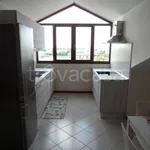 Rent 2 bedroom apartment of 50 m² in Adria