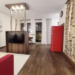 Rent 1 bedroom apartment of 45 m² in Nuremberg