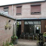 Rent 4 bedroom house of 90 m² in Groot Rennemig