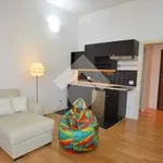 Rent 1 bedroom apartment of 40 m² in Milan