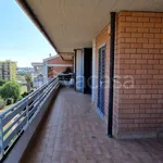 Rent 3 bedroom apartment of 80 m² in Pomezia