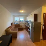 Rent 2 bedroom apartment of 45 m² in SZCZECIN