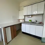 Rent 1 bedroom apartment of 35 m² in Pilsen