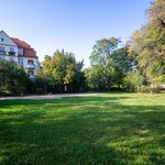 Rent 1 bedroom apartment of 35 m² in Dresden