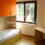 Rent 3 bedroom apartment of 65 m² in Grosseto