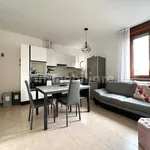 Rent 2 bedroom apartment of 45 m² in Verona