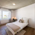 Rent a room of 76 m² in Frankfurt am Main