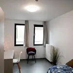 Rent 1 bedroom apartment in Tournai