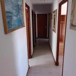 Alquilar 4 dormitorio apartamento en Alicante