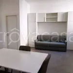 Rent 1 bedroom apartment of 30 m² in Lodi