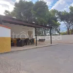 Rent 1 bedroom house of 85 m² in Manduria