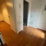 2-room flat via Tosco Romagnola Est 625, San Miniato, San Miniato