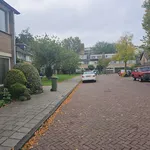 Huur 5 slaapkamer huis van 121 m² in Haarlem