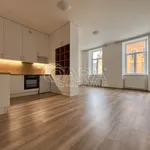 Rent 1 bedroom apartment in Brno